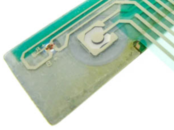 Photo of PET Circuit Traces Powering Bi-colored LED